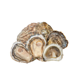 Nieuwsgierig naar oesters uit verschillende regio’s? Kies dan voor de Premier Proeverij!