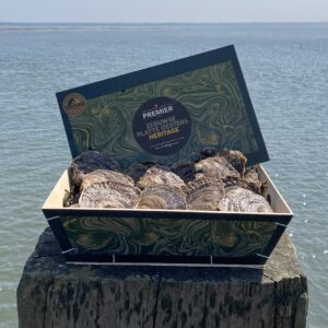 Zeeuwse flat oysters Heritage
