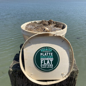 Premier Flat Oysters