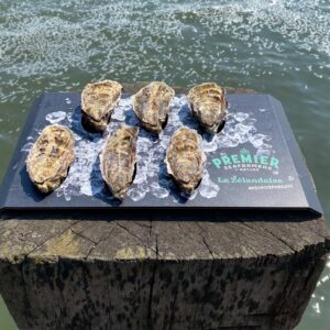 La Zélandiase oyster tray
