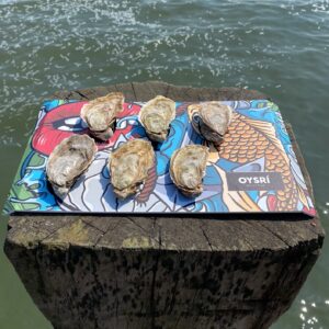 Oysrí oyster tray