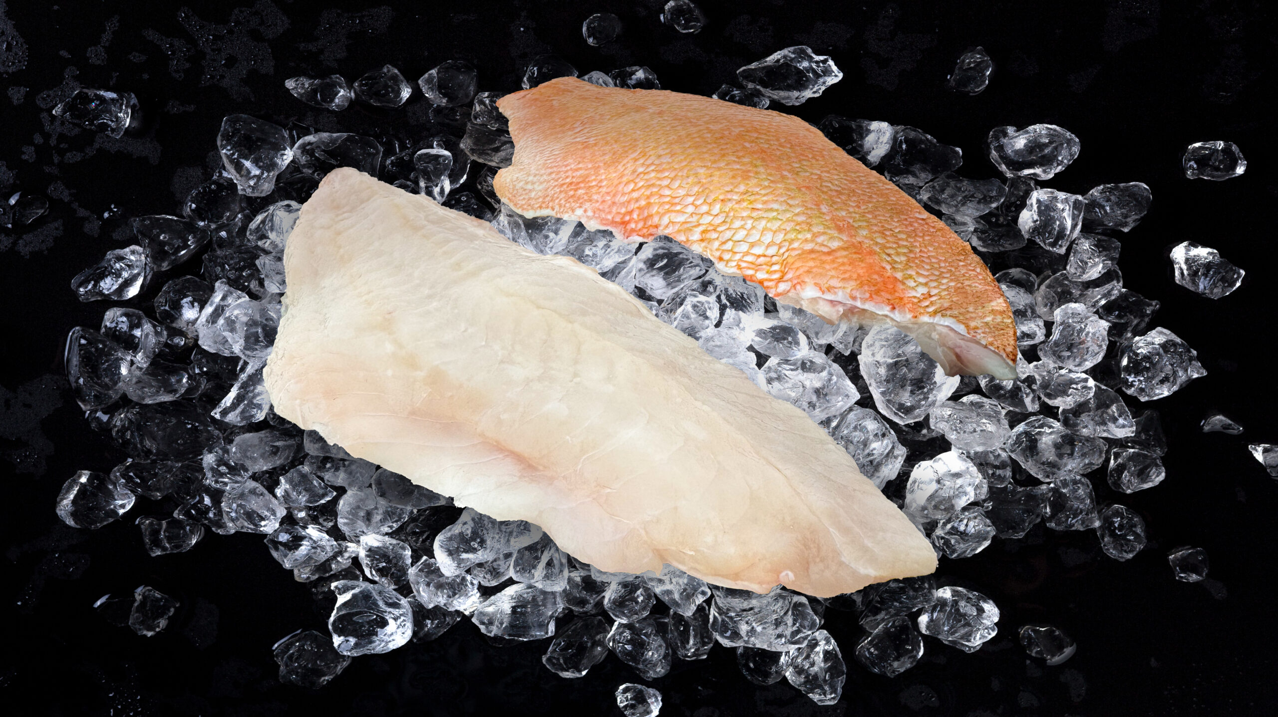 Fresh Fish